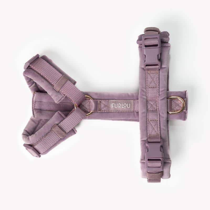 Harnais pour chien en velours mauve de Furlou - harnais pour chien tendance et confortable