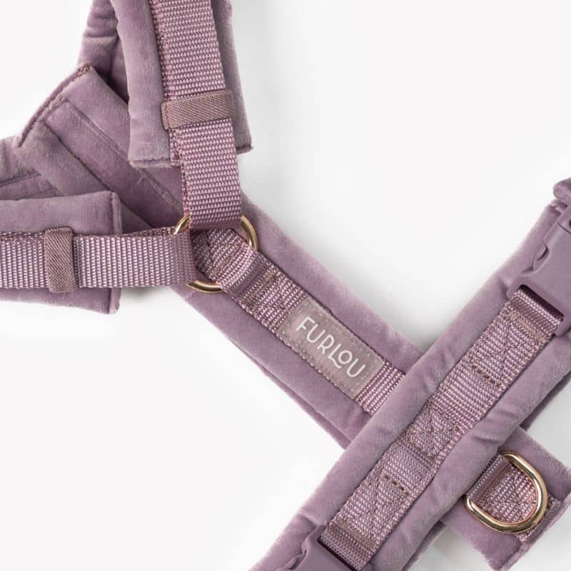 Détail du harnais pour chien en mauve lilac de Furlou - accessoire pour chien tendance et confortable 