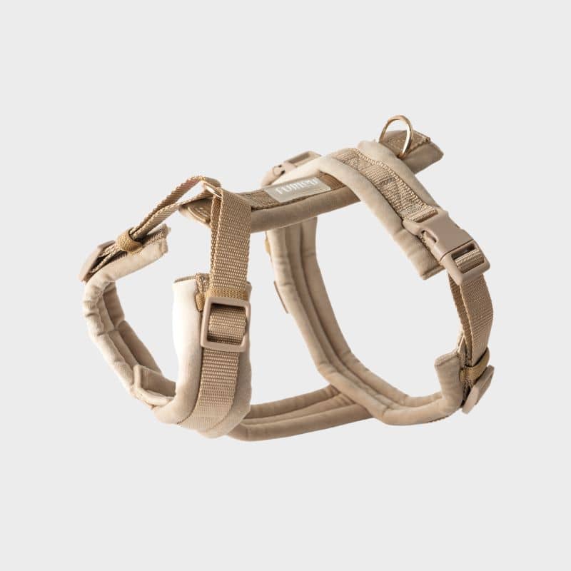 Harnais pour chien en velours velvet de Furlou en beige sable - harnais tendance et confortable en H