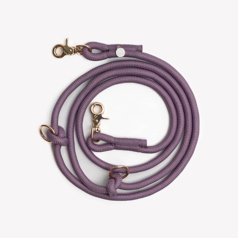 Mousqueton solide doré de la laisse multipositions pour chien de Furlou en mauve parme lilac