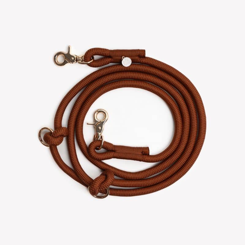 Mousqueton solide doré de la laisse multipositions pour chien de Furlou en orange clay