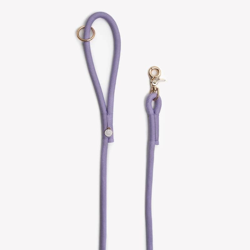 Laisse pour chien Furlou paracorde modèle lilas mauve