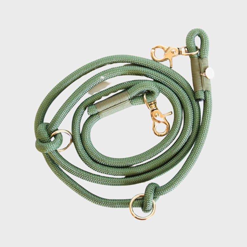 Laisse multiposition pour chien en corde de la marque Furlou en vert sauge