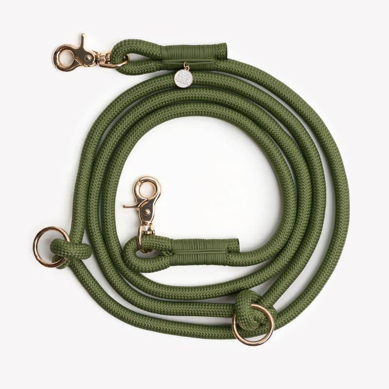 UKCOCO Laisse Double Tête Ajustable Pour Chien Et Chiot Corde