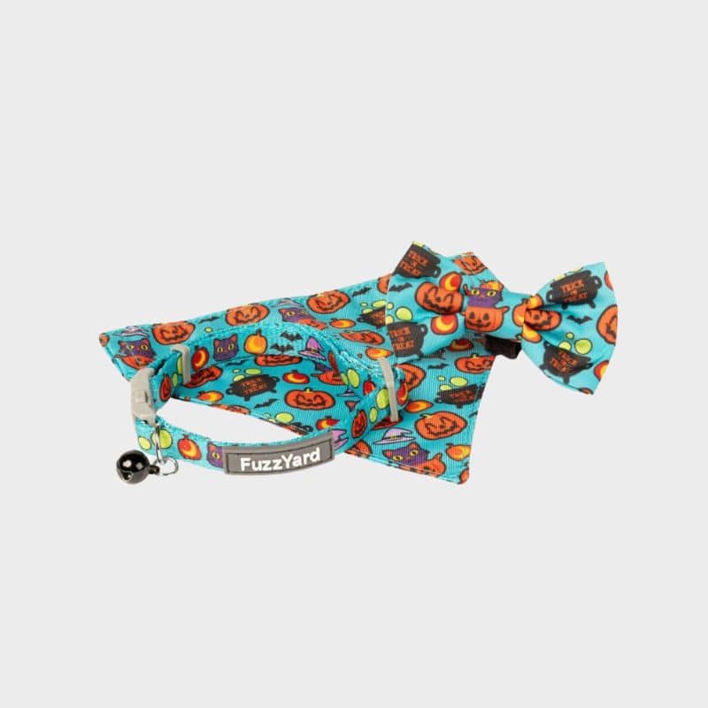 Ensemble bandana noeud papillon et collier pour chat