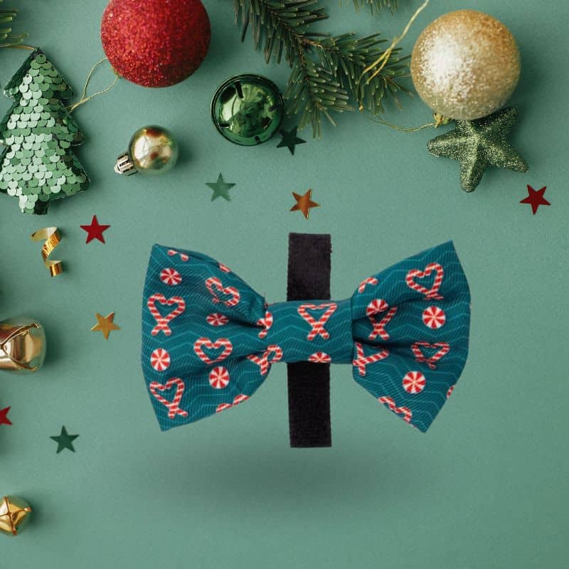 Bandana pour chat motif sucre d'orge de Noel de Fuzzyard - I heart candy canes