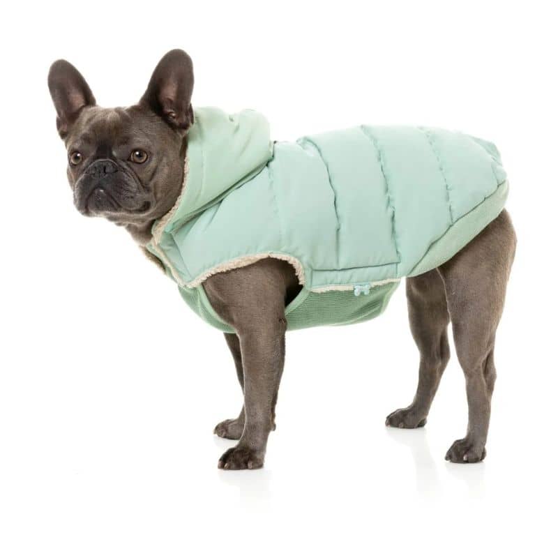 Bouledogue français avec manteau d'hiver chaud et confortable de Fuzzyard
