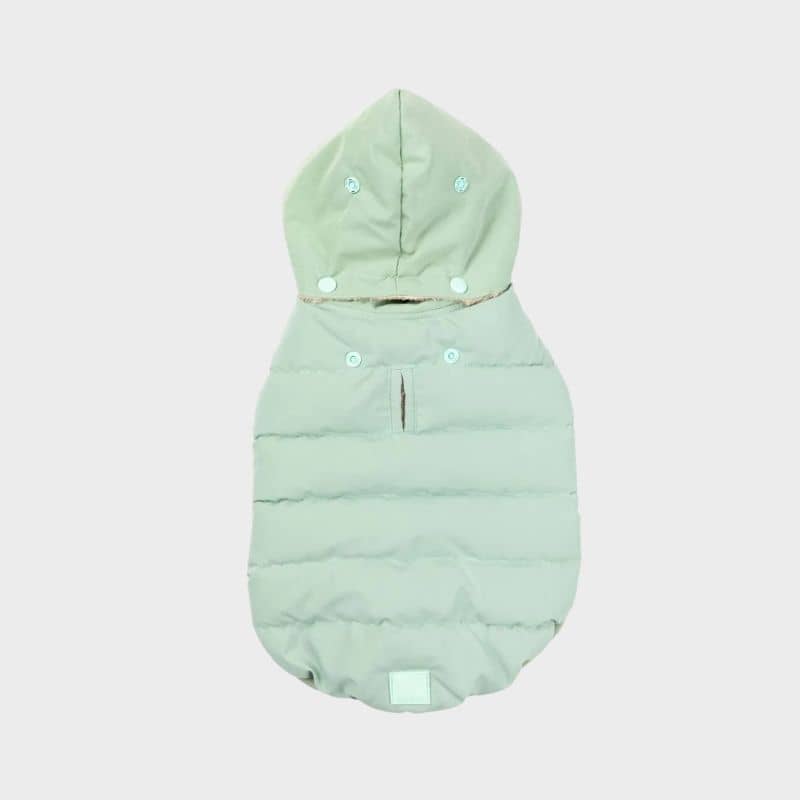 Doudoune pour chien chaude et confortable en vert menthe de Fuzzyard