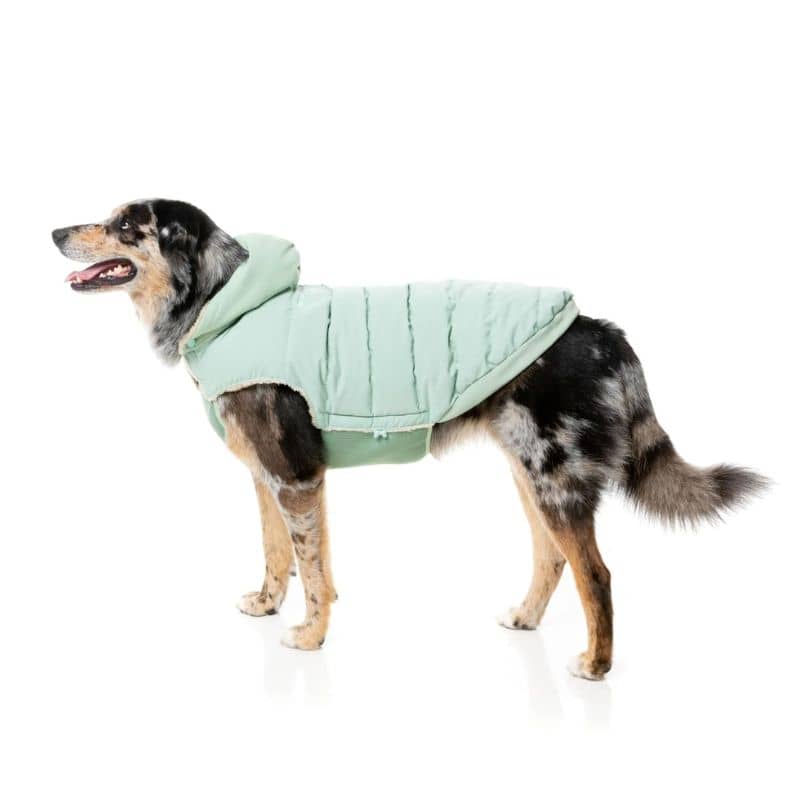Doudoune pour chien ajustable et chaude en vert menthe de Fuzzyard
