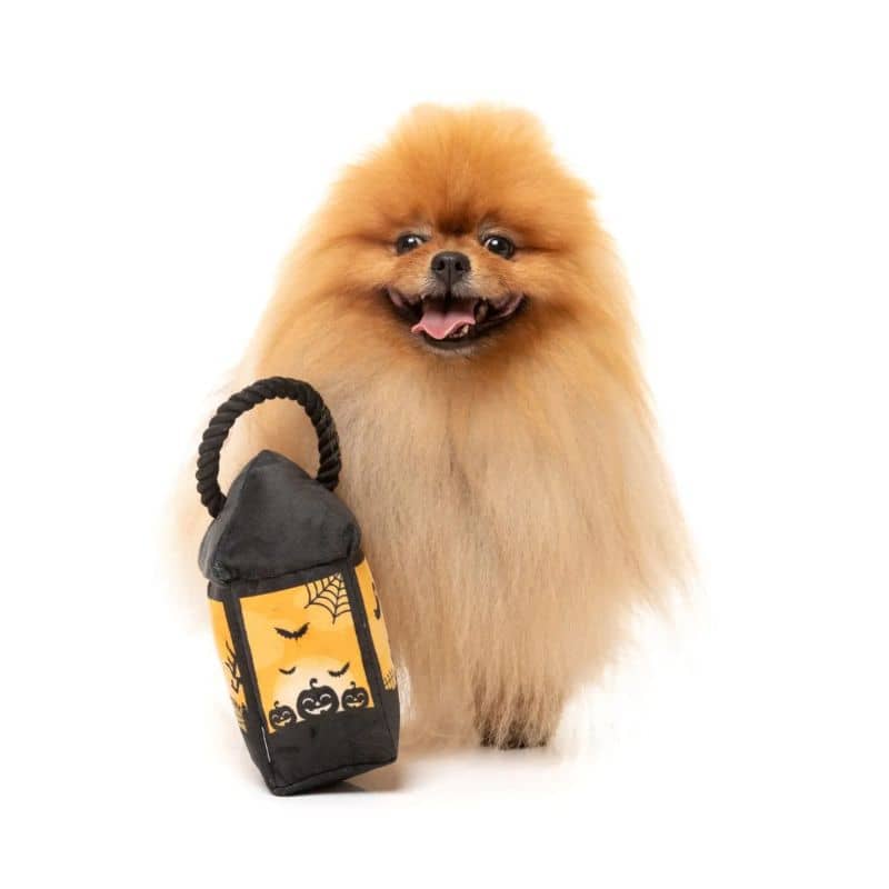 Jouet Halloween pour chien Fuzzyard en forme de peluche lanterne avec corde Eerie Light-up Lantern