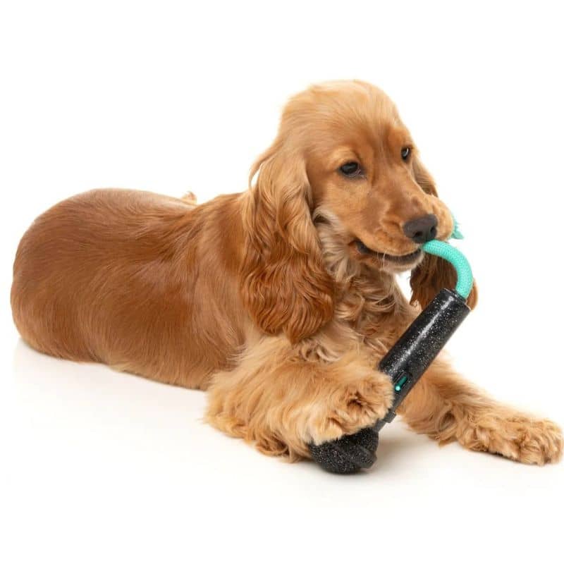 Jouet interactif à macher pour chien en forme de micro Fuzzyard