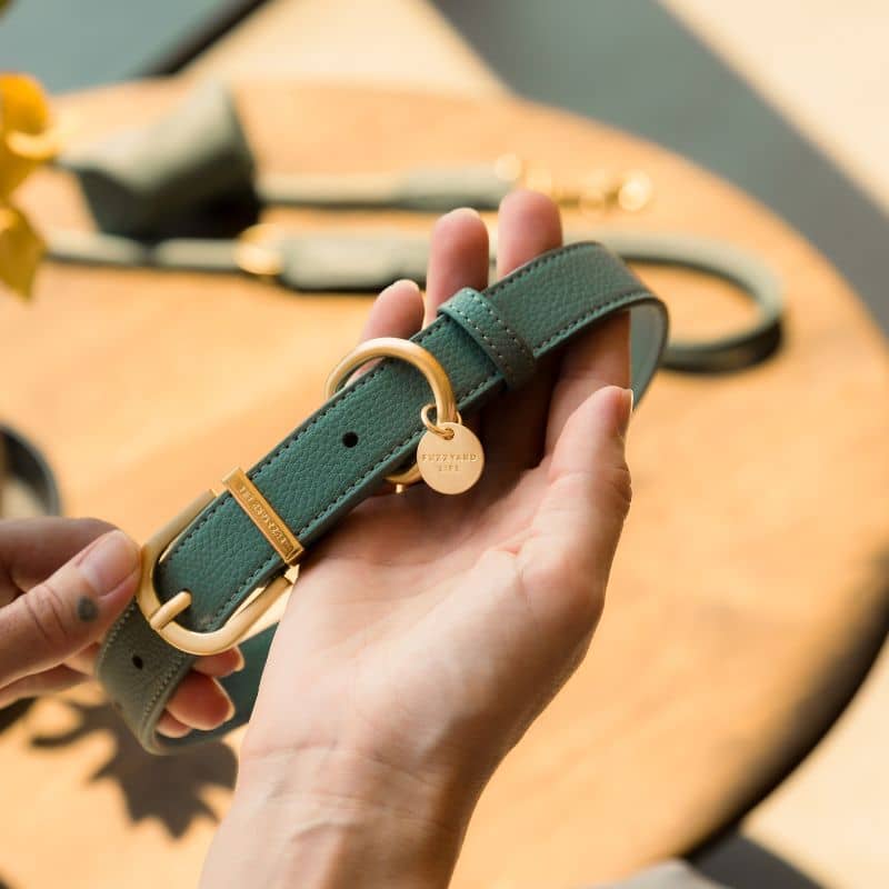 collier pour chien en cuir vegan grainé vert de Fuzzyard Life