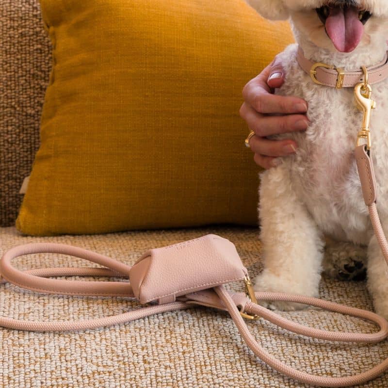 Distributeurs de sacs à déjection élégant en cuir vegan en rose