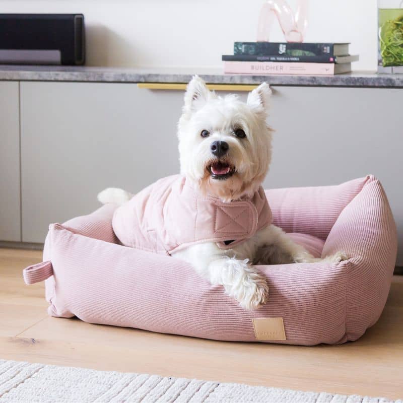 Manteau pour chien chic et élégant en rose
