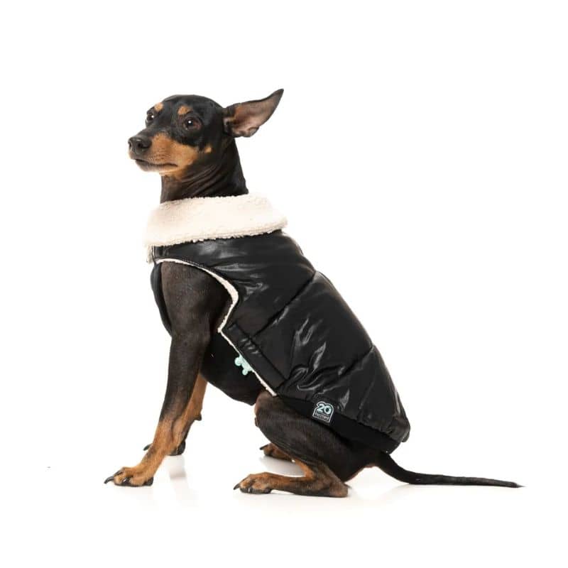 Manteau pour chien en noir facilement ajustable