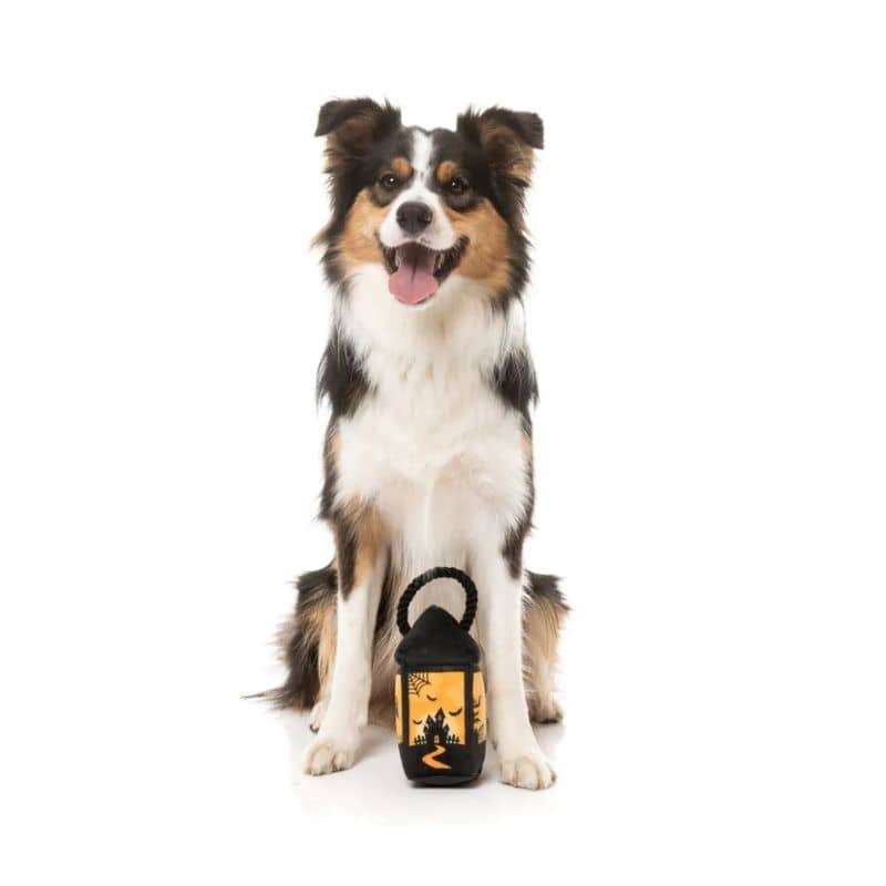 Jouet Halloween pour chien Fuzzyard en forme de peluche lanterne avec corde Eerie Light-up Lantern