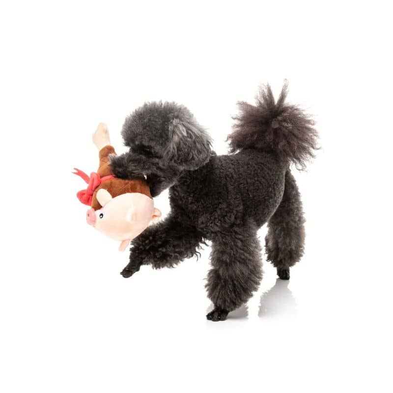 Jouet de Noel pour chien avec squeaker ham a merry pigmas Fuzzyard