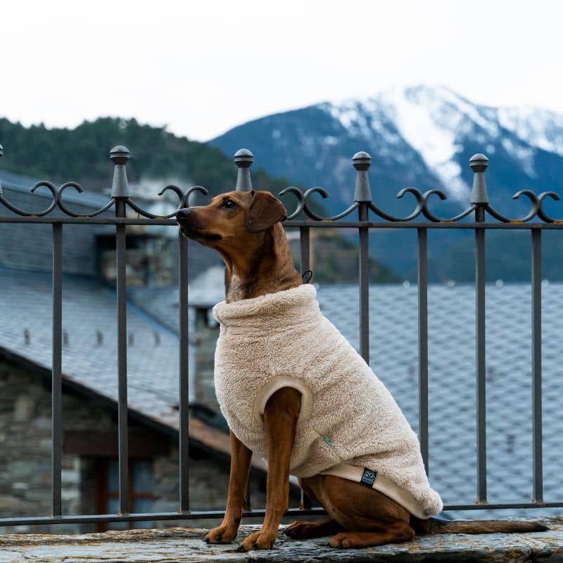Polaire pour chien toute douce et facile à enfiler