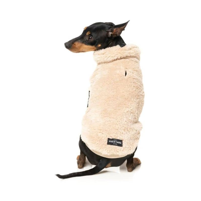Pull online polaire chien