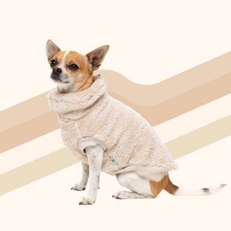 Chien avec une polaire confortable et chaude en beige de Fuzzyard