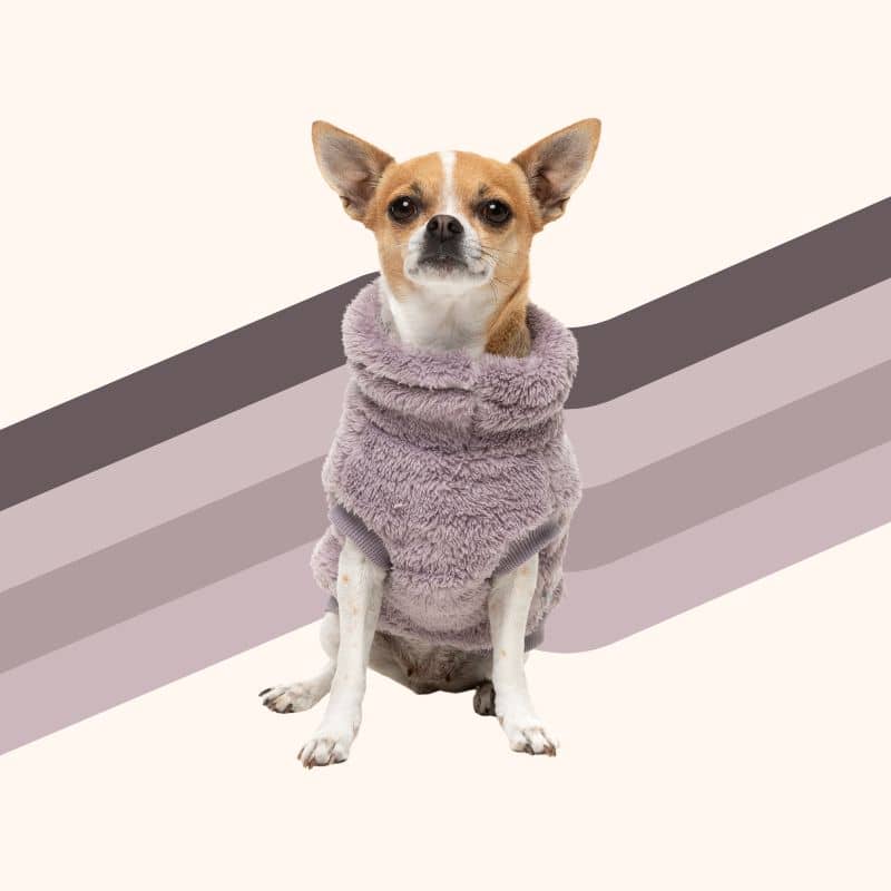 Chien avec une polaire confortable et chaude en mauve lavande de Fuzzyard