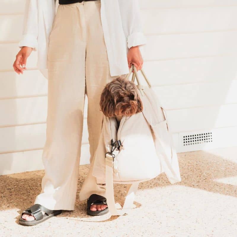 Sac de transport matelassé pour chien en beige avec poignée