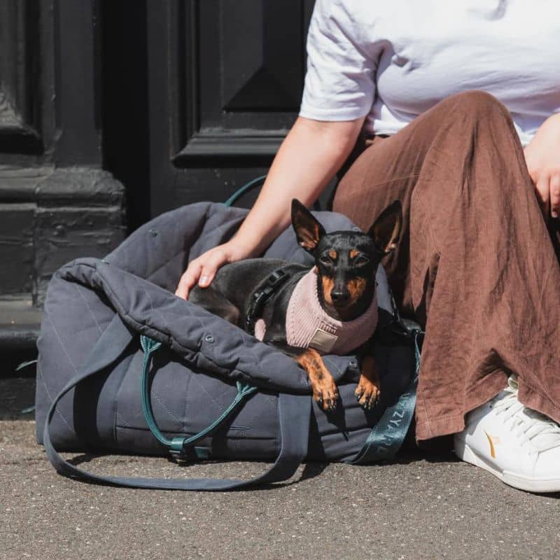 Sac Transport Chien Sac à Main Animaux SAC DE TRANSPORT