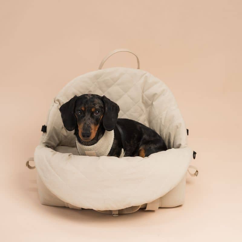 Sac de transport pour chien convertible en lit pour chien avec matelas mémoire de forme