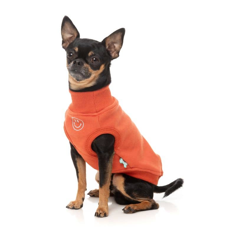 Chien avec un sweat en orange er avec un smiley brodé de Fuzzyard