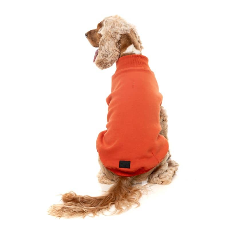 Chien avec un pull en corail orange de Fuzzyard