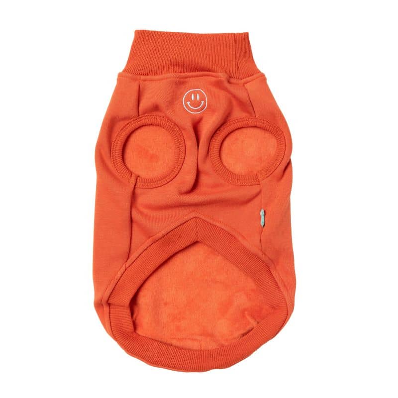 Sweat pour chien avec intérieur polaire en orange