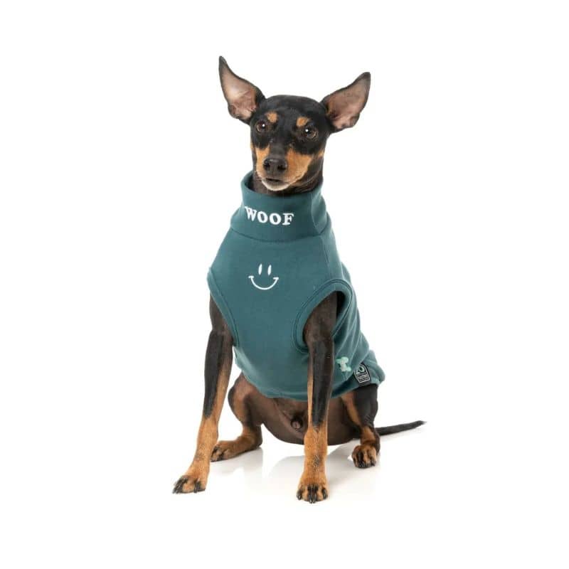 Sweat pour chien tendance avec broderie mignonne en vert