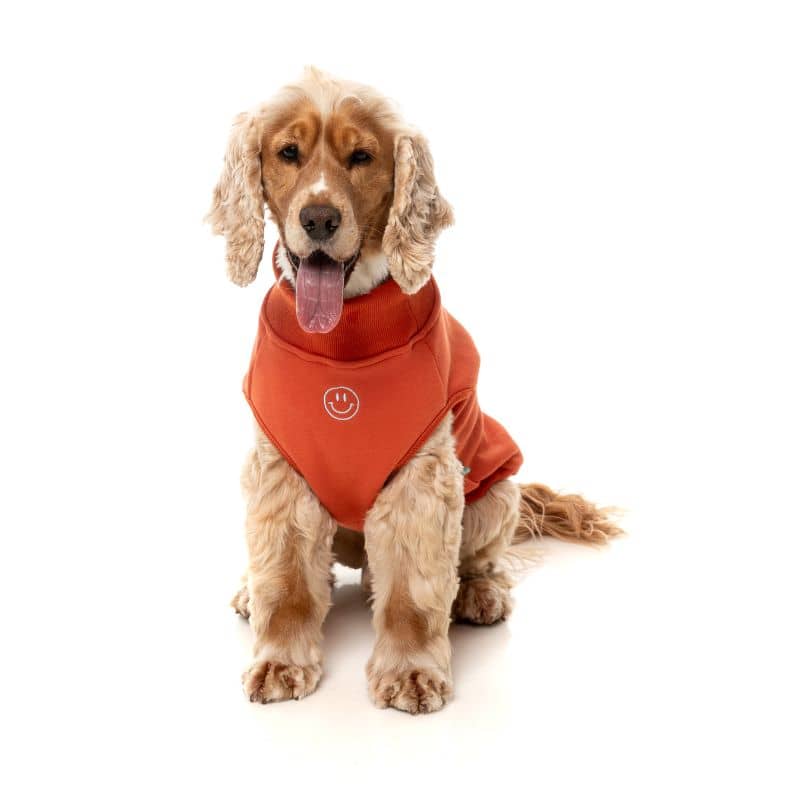Pull pour chien matière sweatshirt en corail orange de Fuzzyard