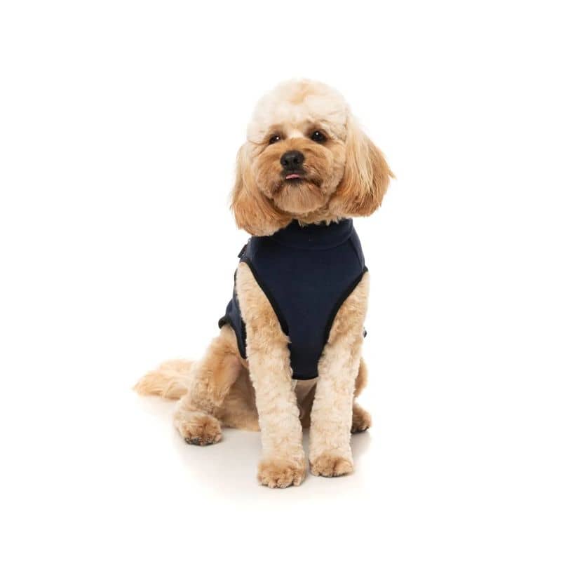 Veste chaude et confortable pour chien modèle Fitzroy de Fuzzyard