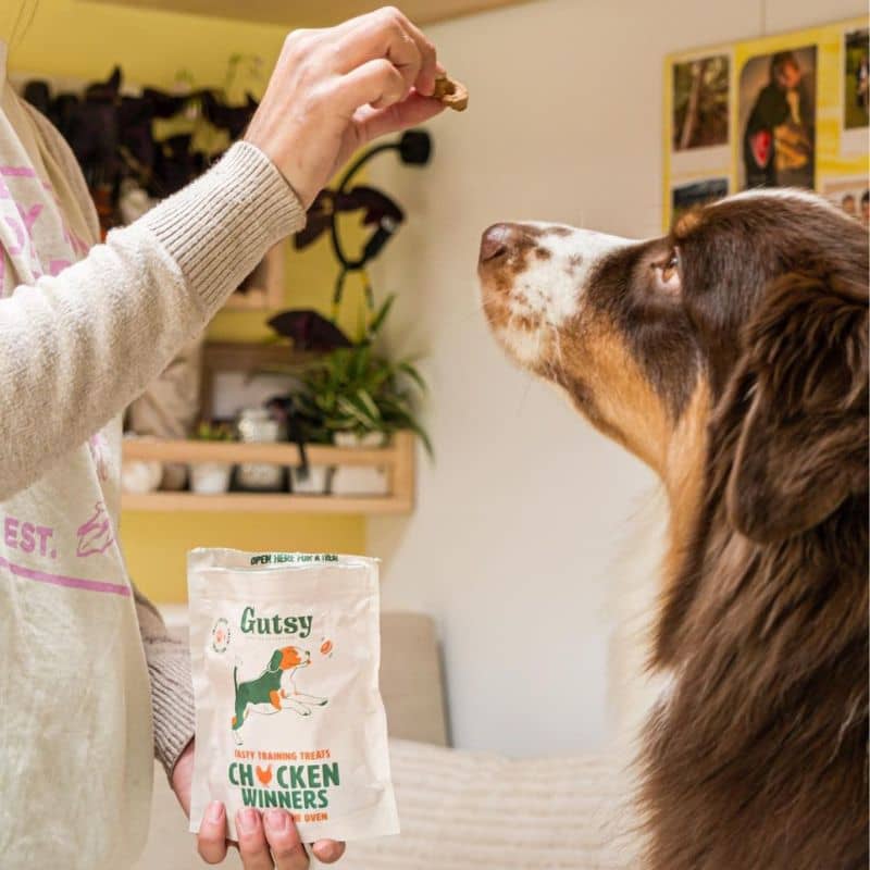 Friandises d'éducation pour chien naturelles de Gutsy - Chicken Winners