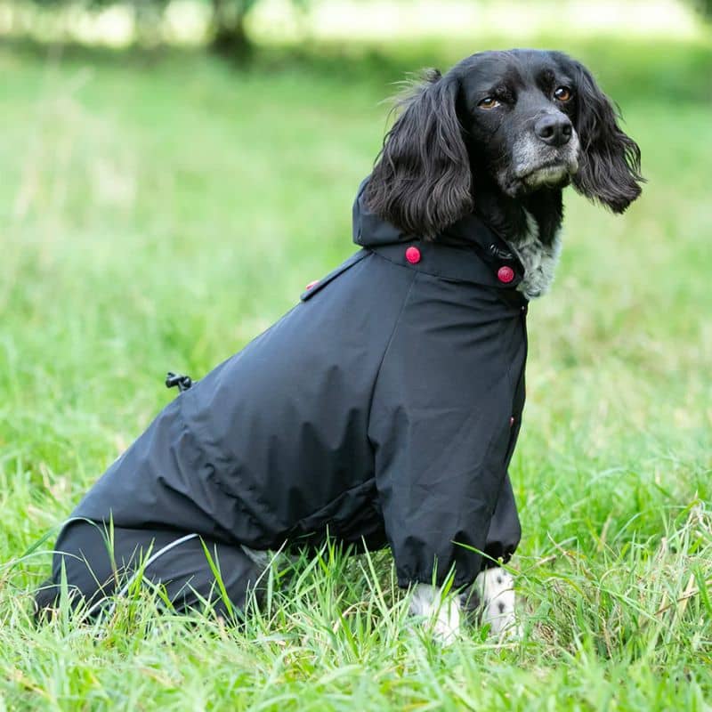 combinaison noir de protection imperméable pour chien Hugo & Hudson : protége du vent, de la pluie ou de la neige. Parfait pour les chiens à poils longs.