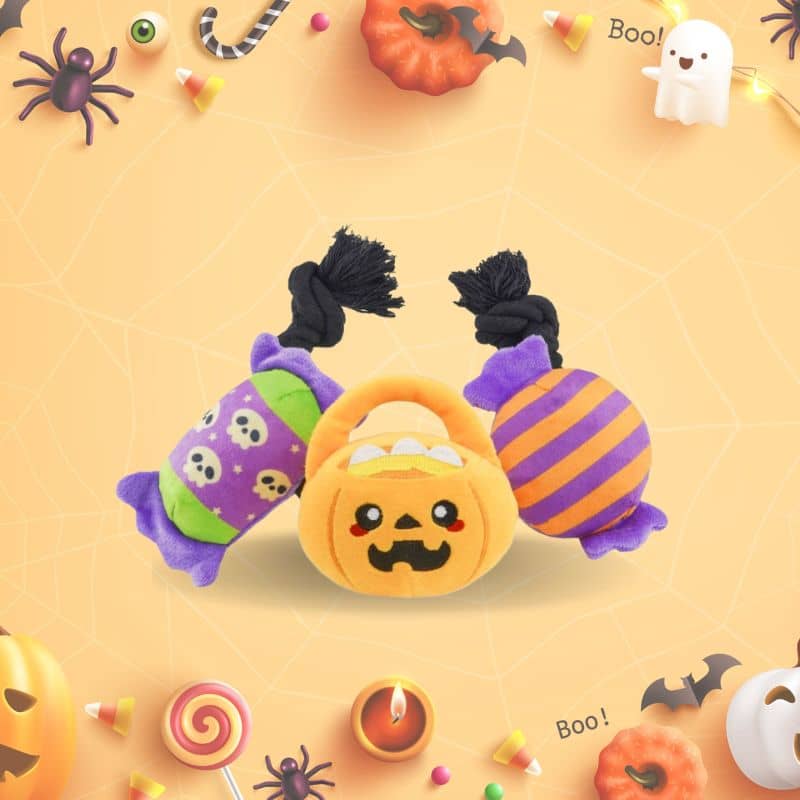 jouet halloween pour chien de la marque Hugsmart avec une corde et 3 bonbons qui coulissent sur la corde et font pouic