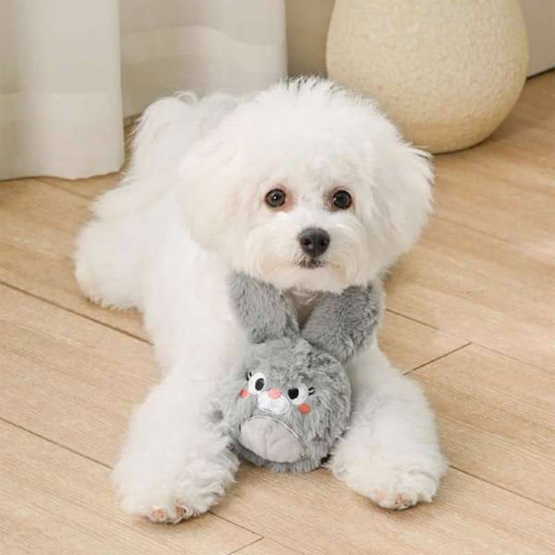 Balle hugsmart en forme de lapin pour chien de la gamme Farm friendz un jouet qui rebondit et qui se lance pour intéragir avec son animal