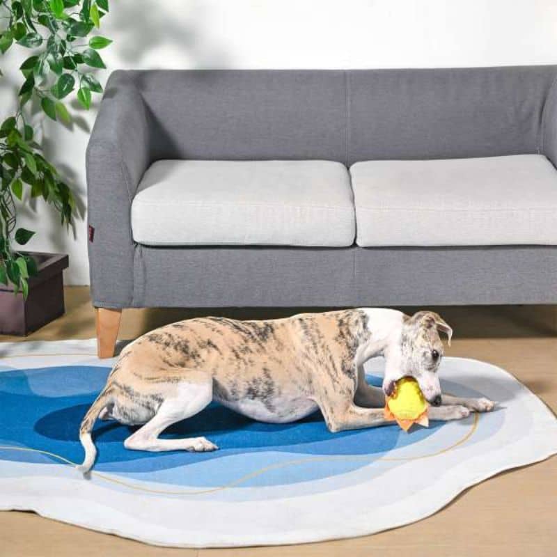 balle hugsmart en forme de soleil pour chien pour lancer de la collection Beach Daze
