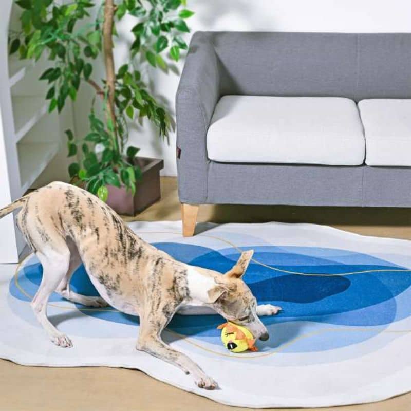 balle hugsmart en forme de soleil pour chien pour lancer jouet qui rebondit permet d'intéragir avec son animal
