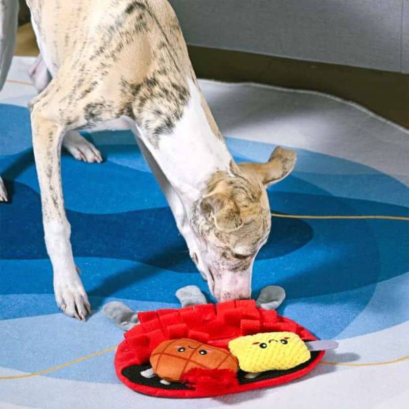 Jeu tapis de fouille pour chien en forme de barbecue de la marque Hugsmart pour occuper son animal avec son flair