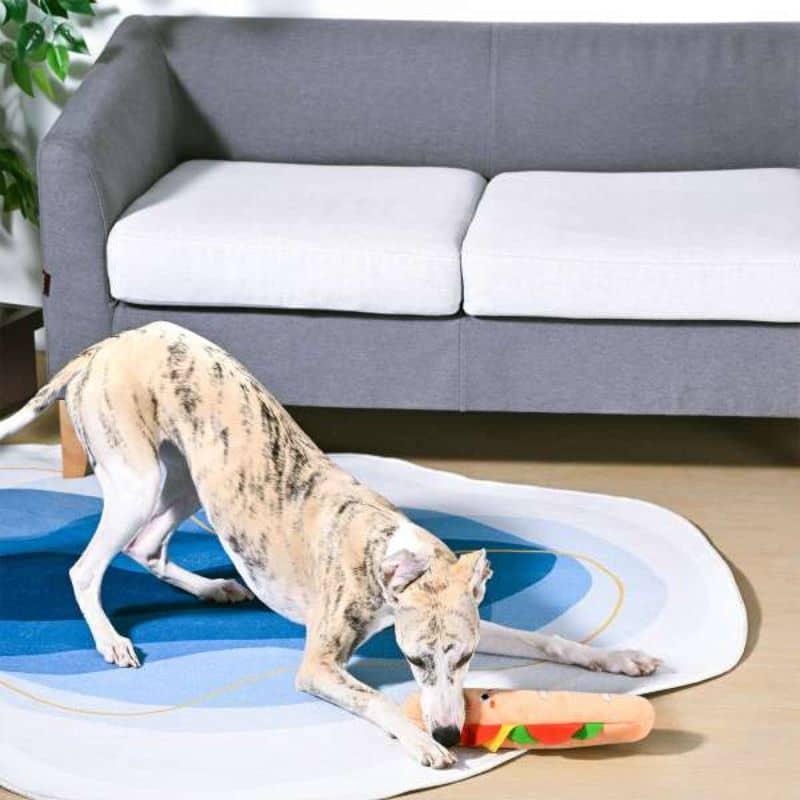 jouet peluche pour chien en forme de sandwich baguette Food Party Hugsmart