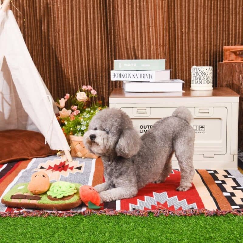 jouet interactif et d'occupation pour chien en forme de jardin puppy garden sniffle Hugsmart : peluche de fouille dans laquelle cacher des friandises 