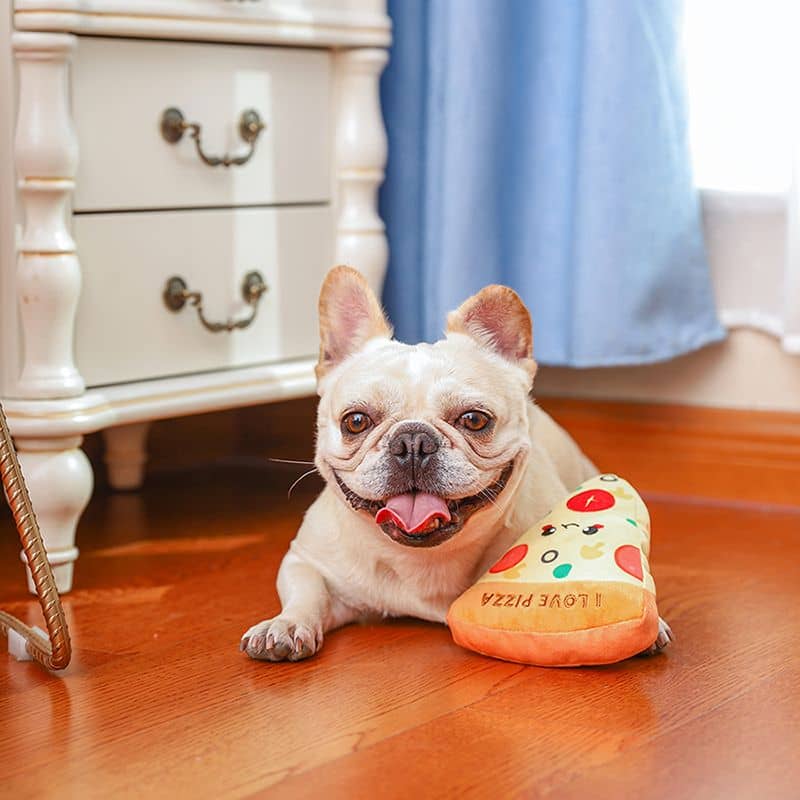 Jeu de flair pour cacher les friandises pour chien en forme de pizza de Hugsmart