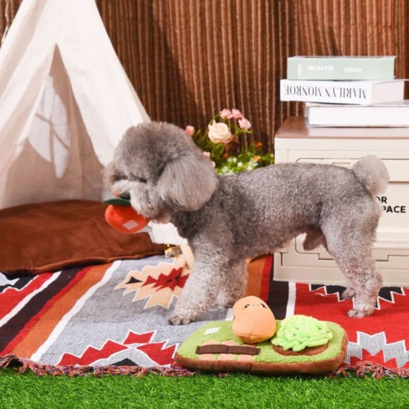 jouet interactif et d'occupation pour chien en forme de jardin puppy garden sniffle Hugsmart : peluche de fouille dans laquelle cacher des friandises 
