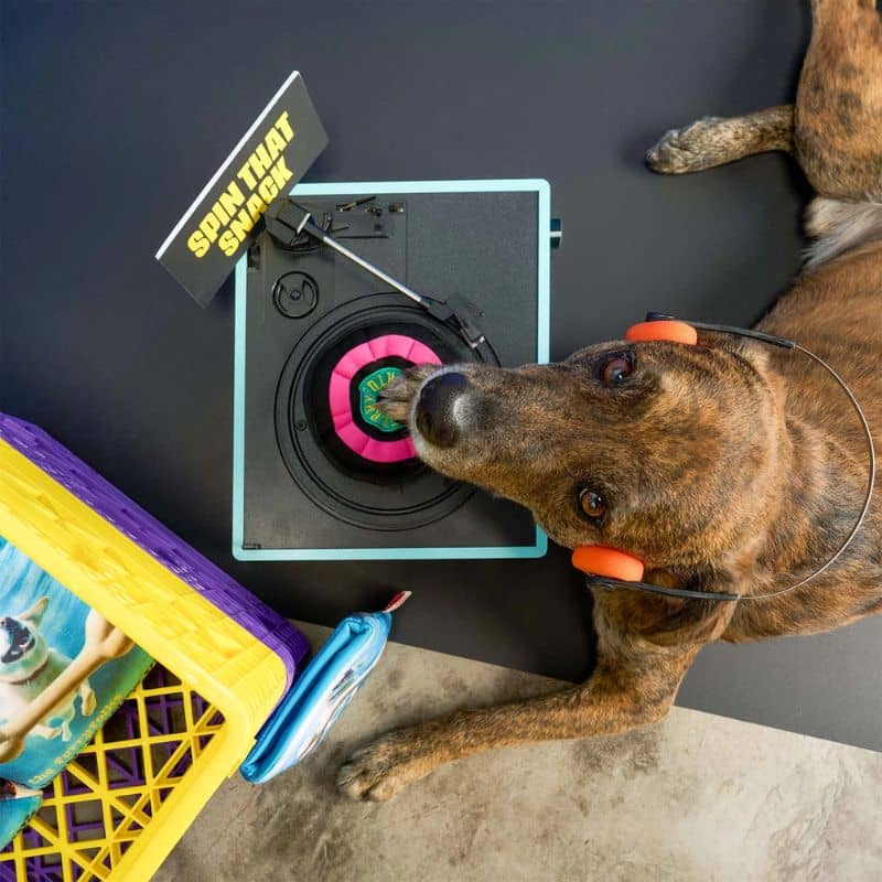 Jouet de fouille pour chien The Furryfolks en forme de disque vinyle, idéal pour cacher des friandises.