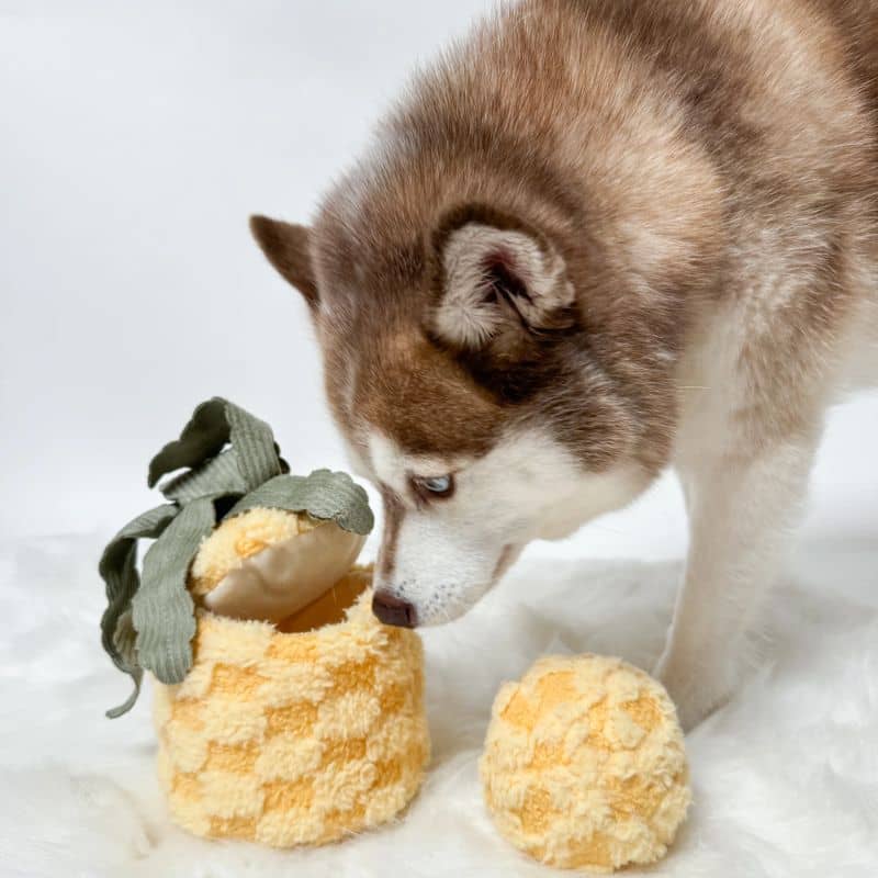 Jouet lambwolf pour chien en forme d'ananas squeaker et crinkle avec sa grosse balle pour divertir le chien