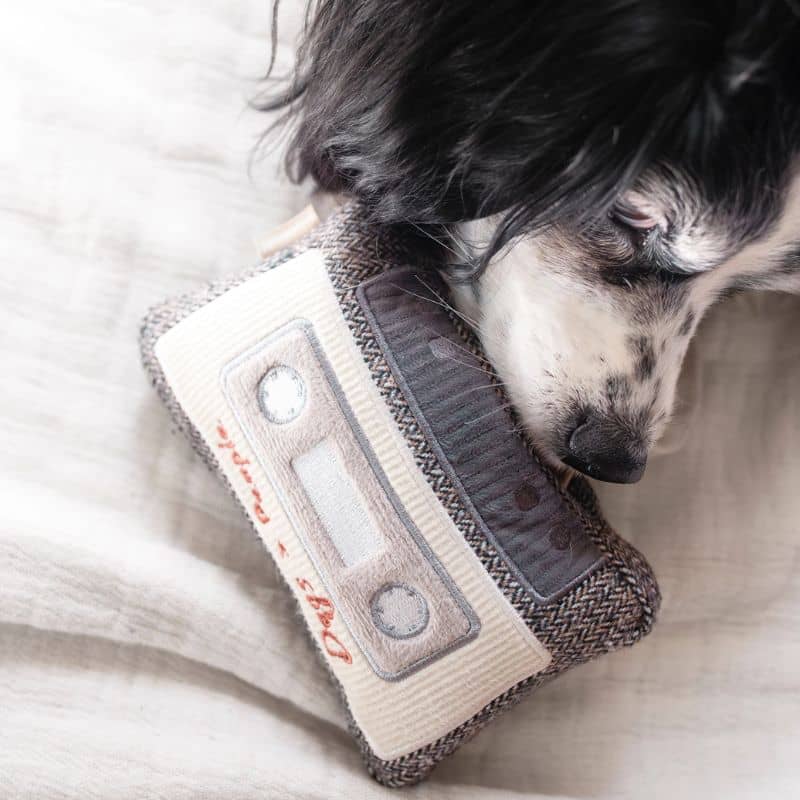 Jouet lambwolf pour chien en forme de cassette à rembobiner  idéal pour la dépense mentale 