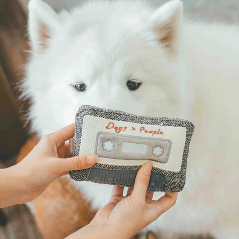 Jouet lambwolf pour chien en forme de cassette à rembobiner pour cacher des bonbons et occuper son chien tout en s'amusant