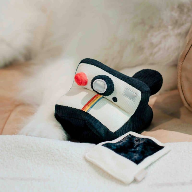 Jouet Lambwolf pour chien en forme d'appareil photo et polaroid avec squeaker pour l'occuper lors des absence et cacher des friandises